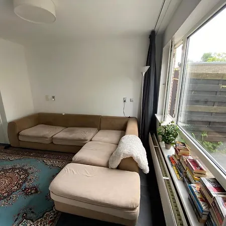 Comfortable In With Garden